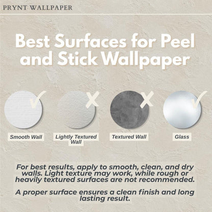 Soft Stucco Wallpaper: Warm White Textured Wall Mural