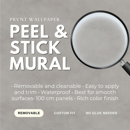 Light Concrete Wallpaper: Minimal Neutral Peel and Stick Mural