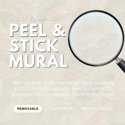 Soft Stucco Wallpaper: Warm White Textured Wall Mural