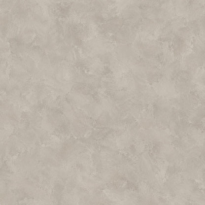 Fog Grey Plaster Wallpaper: Soft Modern Texture Wall Mural