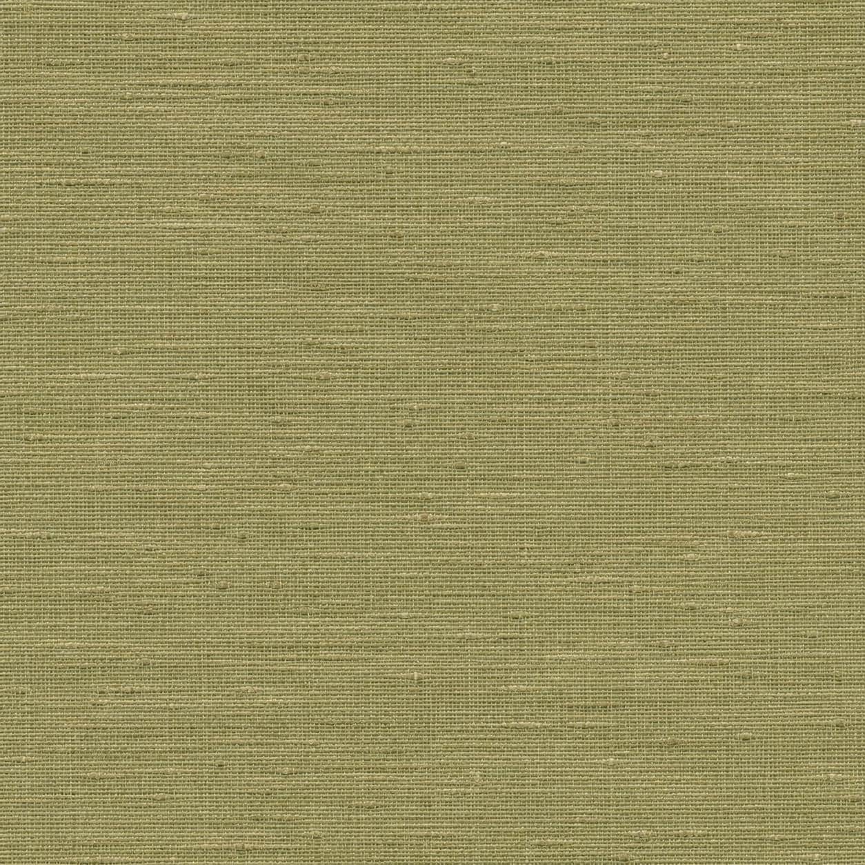 Olive Grasscloth Wallpaper: Green Woven Wall Mural
