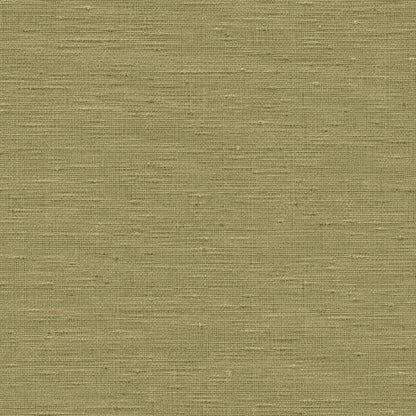 Olive Grasscloth Wallpaper: Green Woven Wall Mural