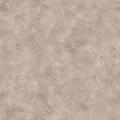 Warm Mink Plaster Wallpaper: Soft Taupe Textured Wall Mural