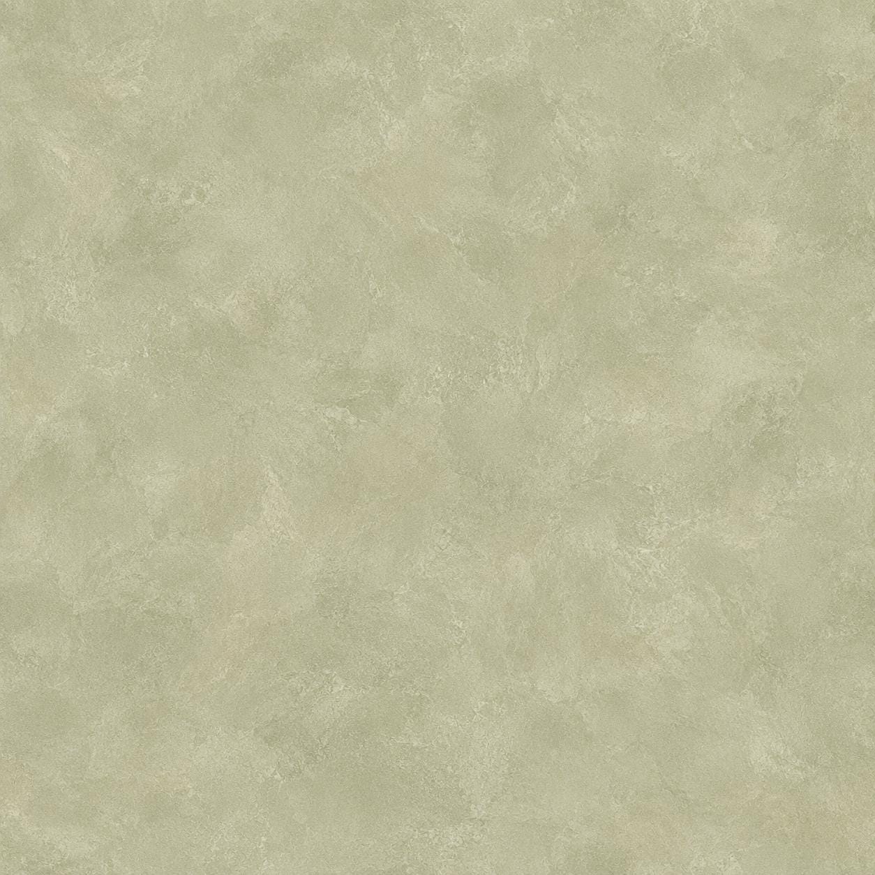 Sage Limewash Wallpaper: Soft Green Plaster Wall Mural