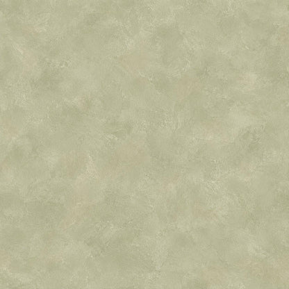 Sage Limewash Wallpaper: Soft Green Plaster Wall Mural