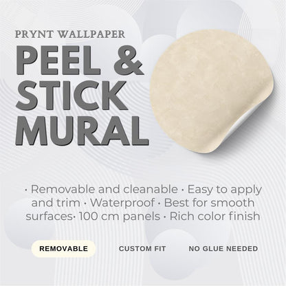 Champagne Stucco Wallpaper: Warm Cream Textured Wall Mural