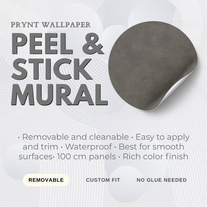 Charcoal Plaster Wallpaper: Dark Modern Textured Wall Mural