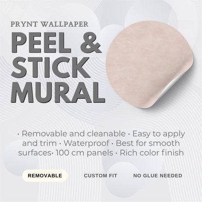 Blush Plaster Wallpaper: Soft Pink Textured Wall Mural