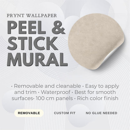 Sandy Beige Concrete Wallpaper: Warm Modern Texture Wall Mural