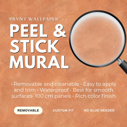 Terracotta Plaster Wallpaper: Warm Clay Wall Mural