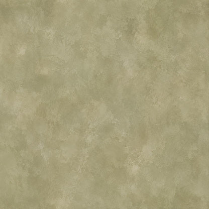 Olive Limewash Wallpaper: Earthy Green Textured Wall Mural