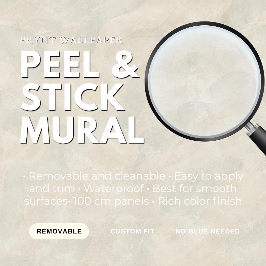 Limewash Wallpaper: Soft Ivory Textured Wall Mural