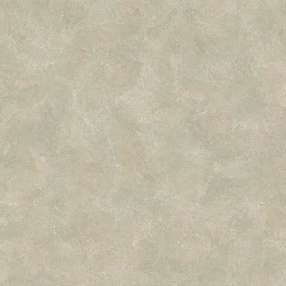 Pale Sage Limewash Wallpaper: Soft Green Textured Wall Mural
