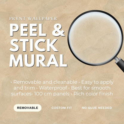 Roman Clay Wallpaper: Warm Sand Textured Wall Mural