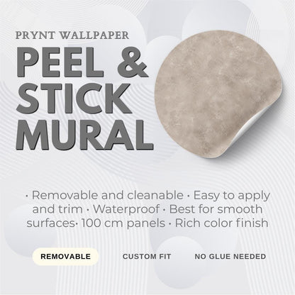 Warm Mink Plaster Wallpaper: Soft Taupe Textured Wall Mural