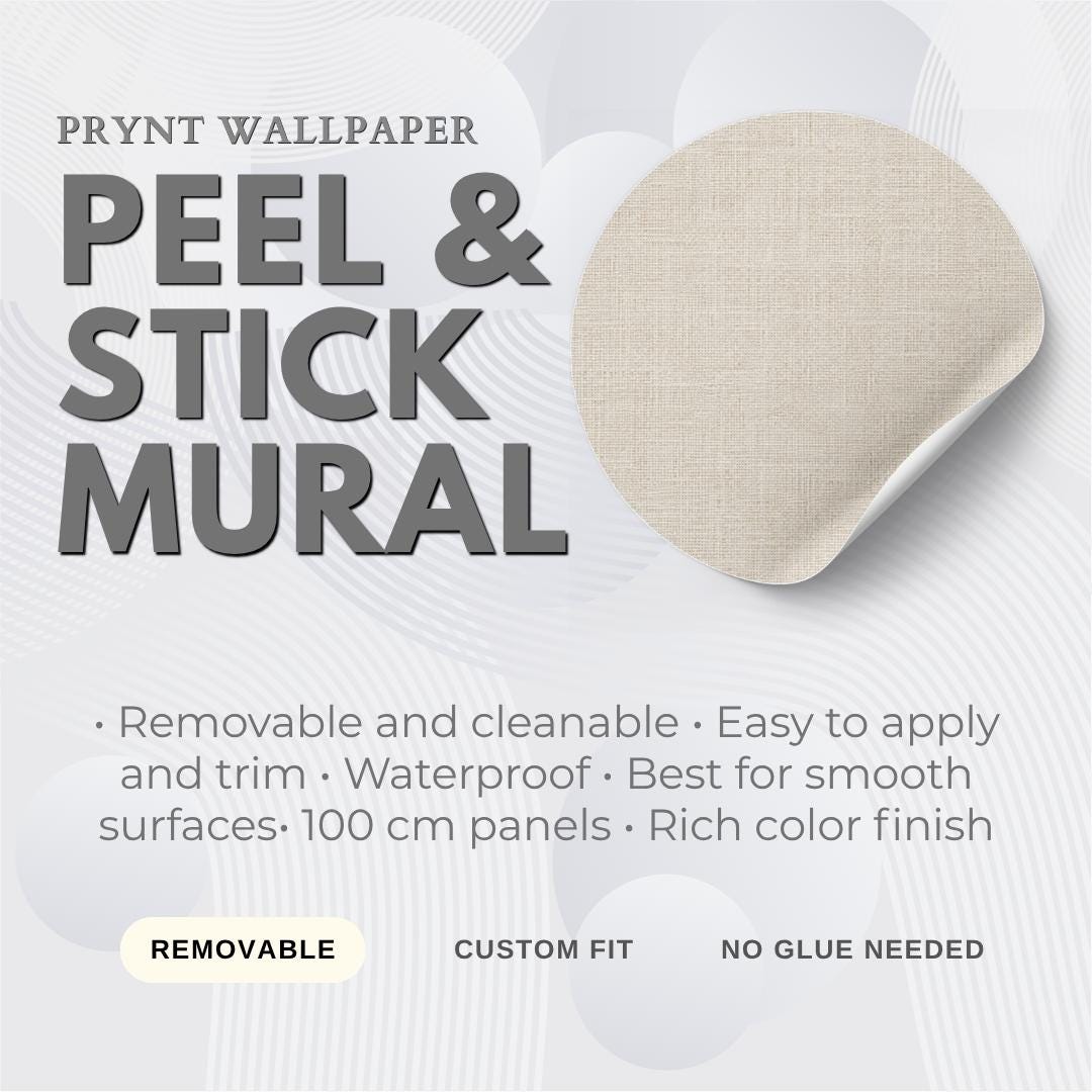 Bone White Plaster Wallpaper: Soft Neutral Wall Mural